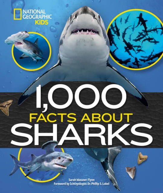 1,000 Facts About Sharks - Image 2