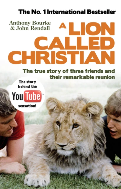A Lion Called Christian - Image 2
