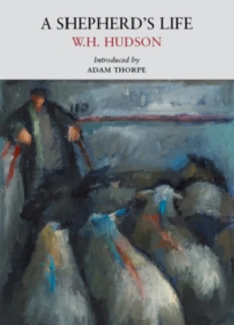 A Shepherd's Life - Image 2