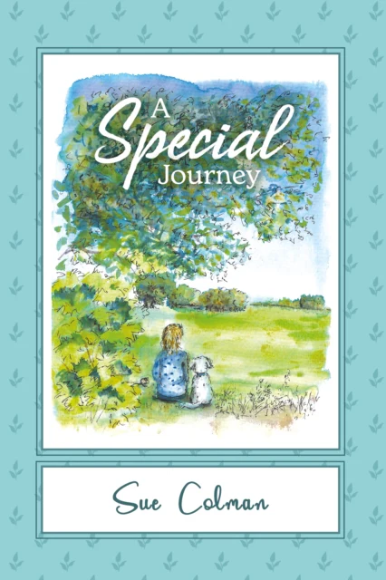 A SPECIAL JOURNEY - Image 2