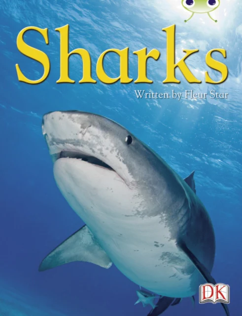 BC NF Blue (KS2) B/4A Sharks - Image 2