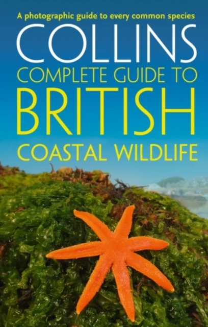 British Coastal Wildlife - Image 2