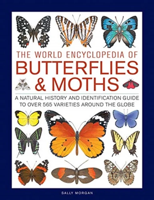 Butterflies & Moths, The World Encyclopedia of - Image 2