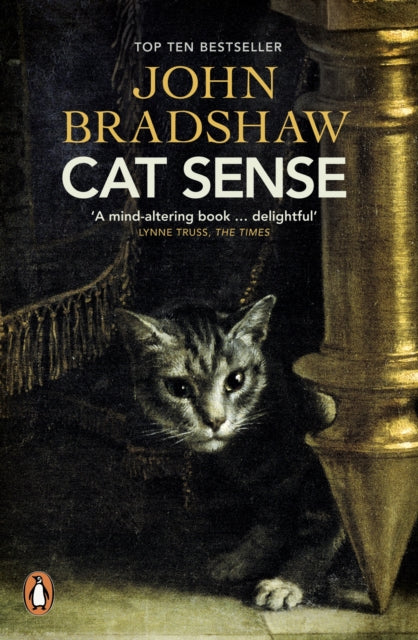 Cat Sense - Image 2
