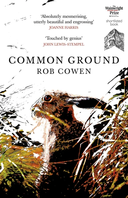 Common Ground - Image 2
