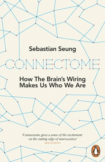 Connectome - Image 2
