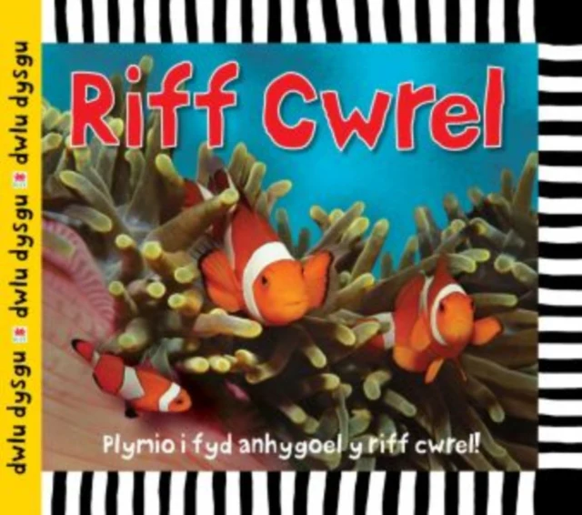 Cyfres Dwlu Dysgu: Riff Cwrel - Image 2