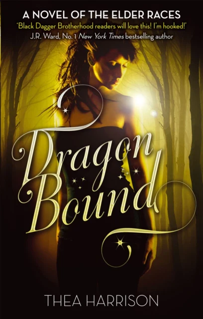 Dragon Bound - Image 2