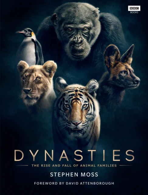 Dynasties - Image 2