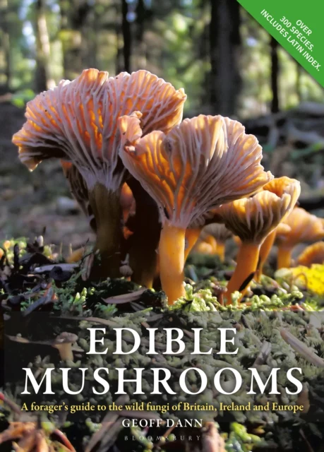 Edible Mushrooms - Image 2