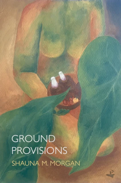 Ground Provisions - Image 2
