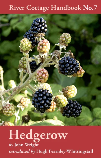 Hedgerow - Image 2