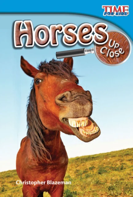 Horses Up Close - Image 2