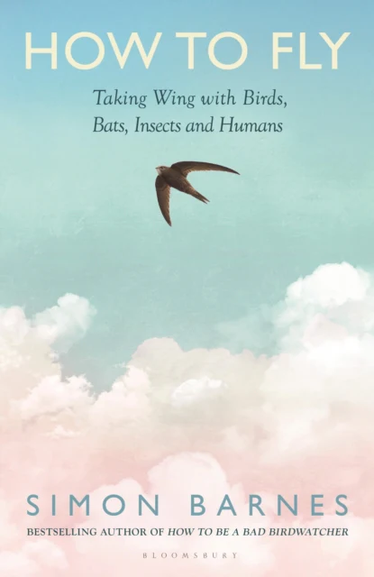 How to Fly