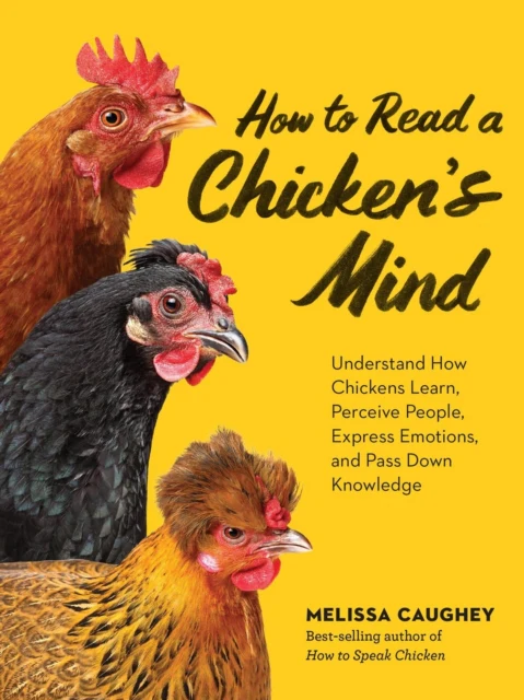 How to Read a Chicken's Mind - Image 2