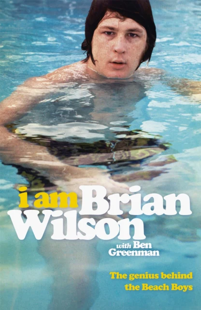 I Am Brian Wilson - Image 2