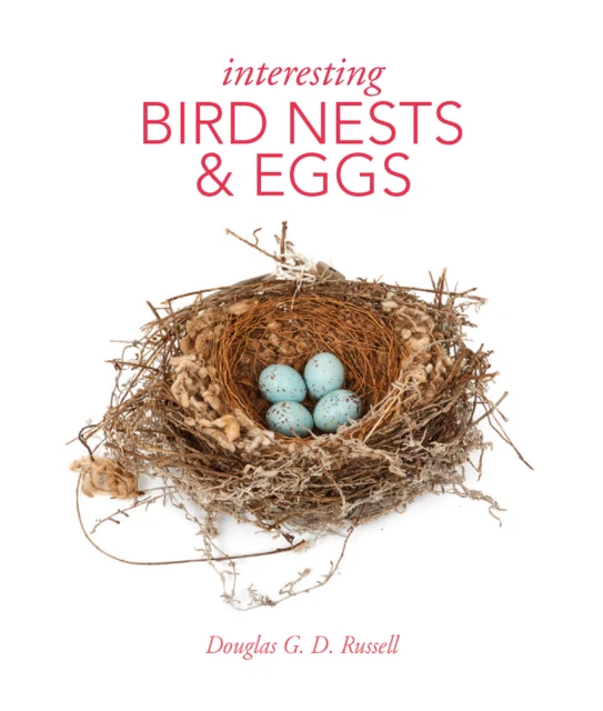 Interesting Bird Nests and Eggs - Image 2