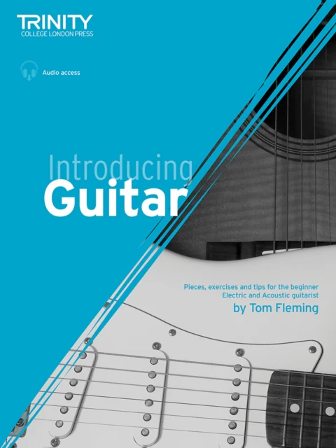 Introducing Guitar - Image 2