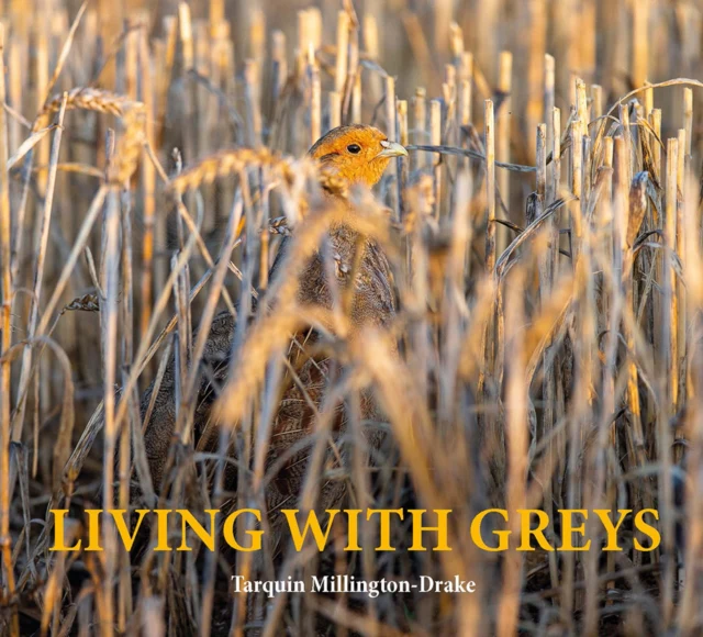 Living with Greys - Image 2