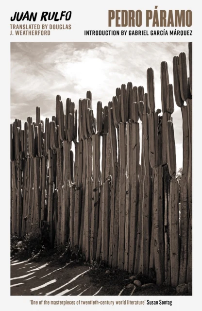 Pedro Paramo - Image 2