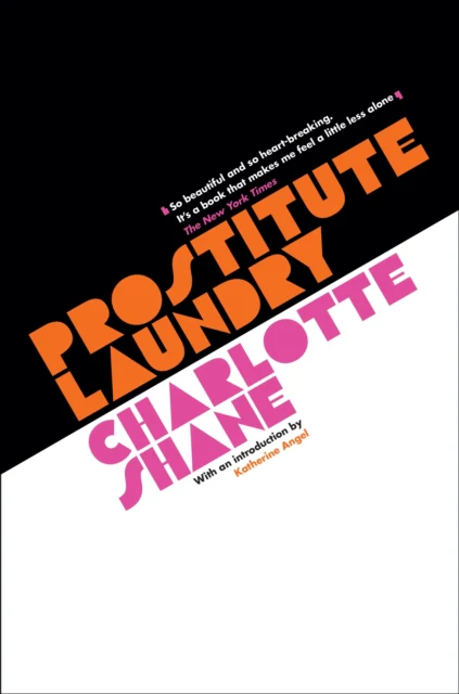 Prostitute Laundry - Image 2