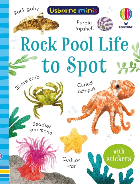 Rock Pool Life to Spot - Image 2
