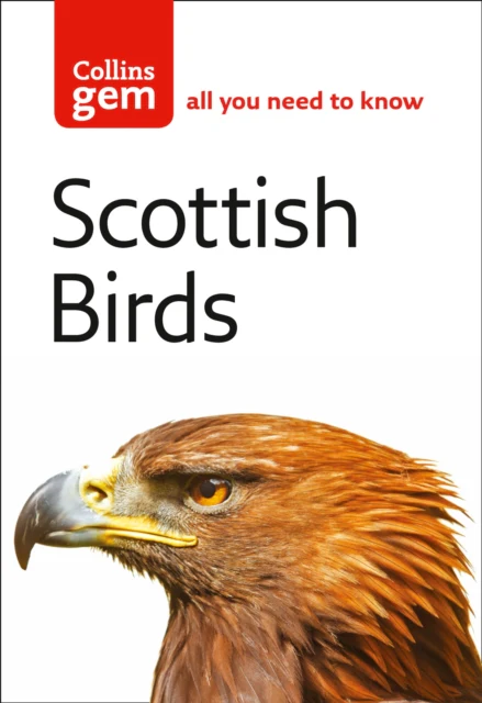 Scottish Birds - Image 2