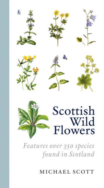 Scottish Wild Flowers - Image 2