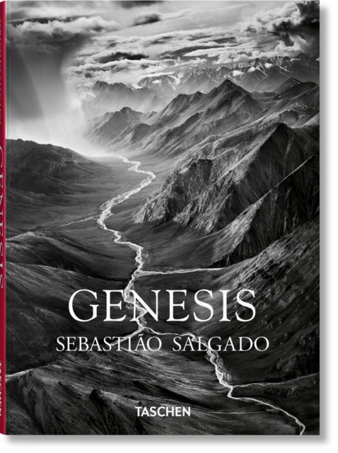Sebastiao Salgado - Image 2