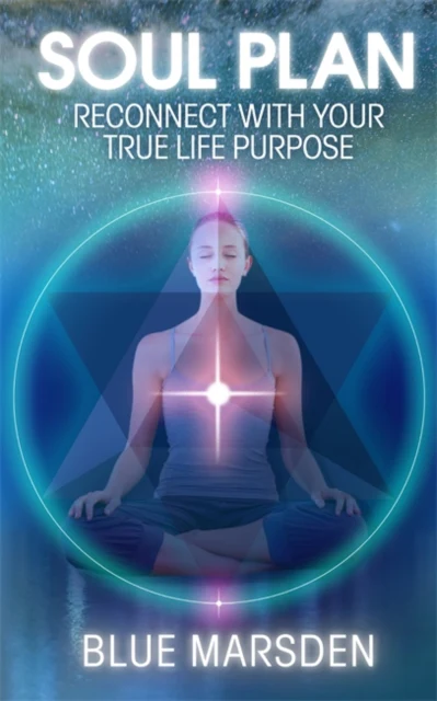 Soul Plan - Image 2