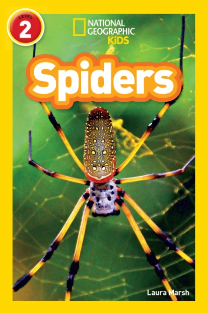 Spiders - Image 2