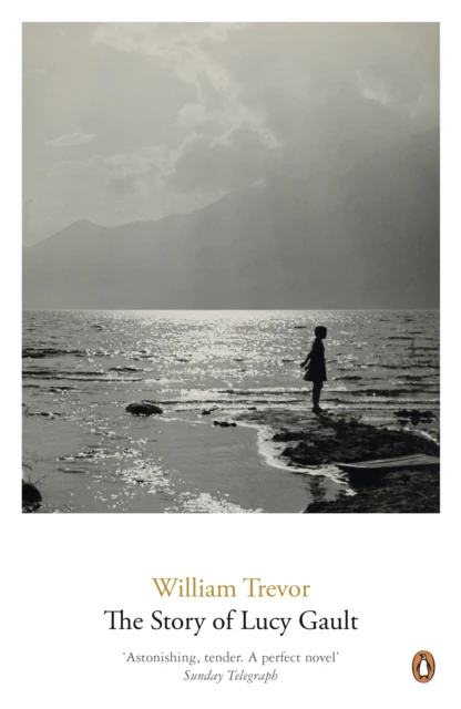 The Story of Lucy Gault - Image 2