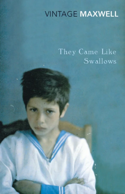 They Came Like Swallows - Image 2
