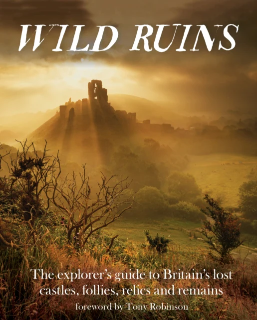 Wild Ruins - Image 2