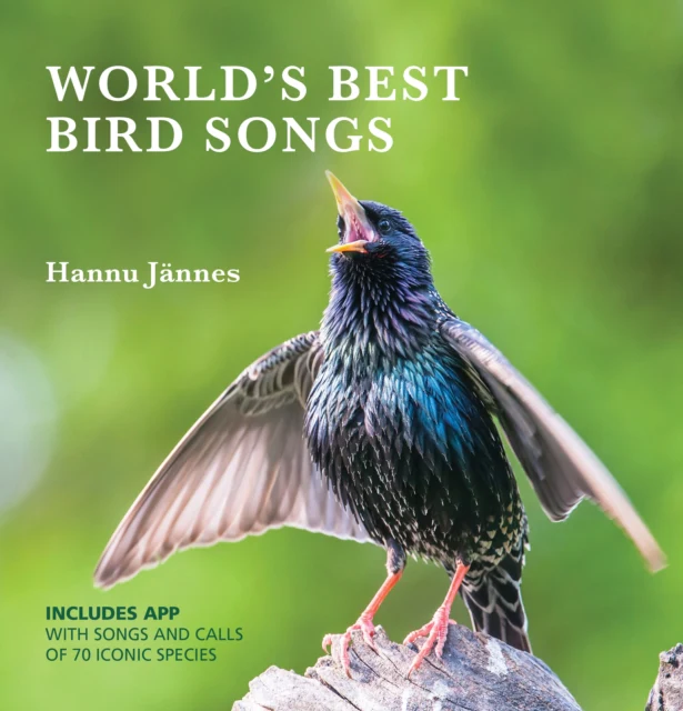 WORLD'S BEST BIRD SONGS - Image 2